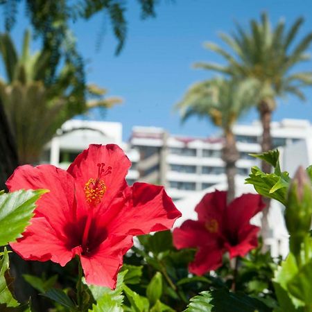 Optimist 1 Apartment Playa de las Americas  Exterior photo